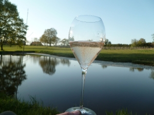 Tchin avec Brut  0